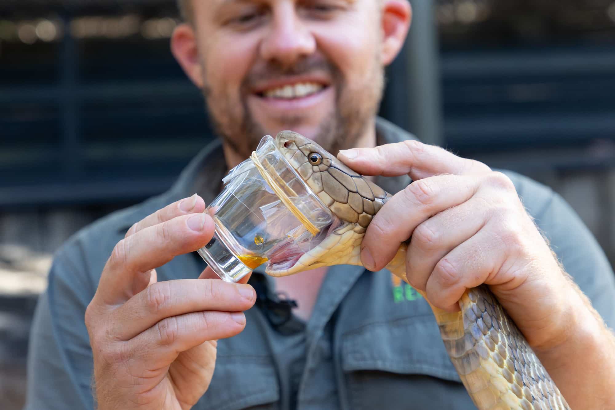 Tim Friede arriesgó su vida con venenos de serpiente.jpg